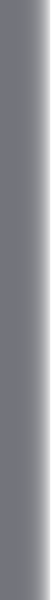 vertical separator bar