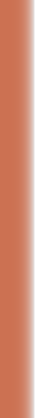 vertical separator bar