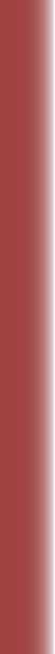 vertical separator bar